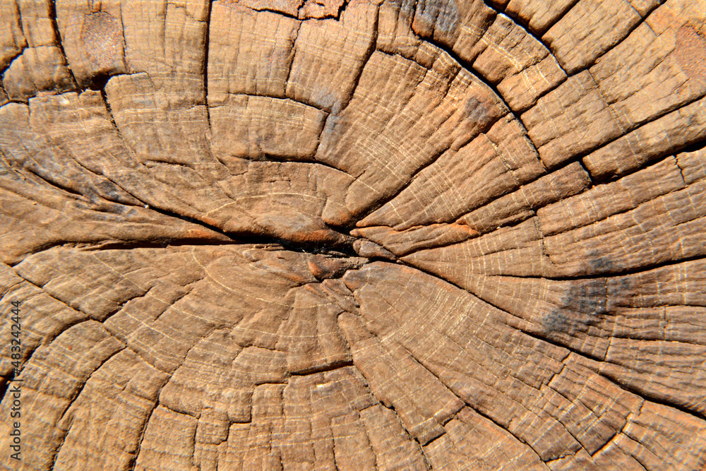 Fototapeta premium old wooden background