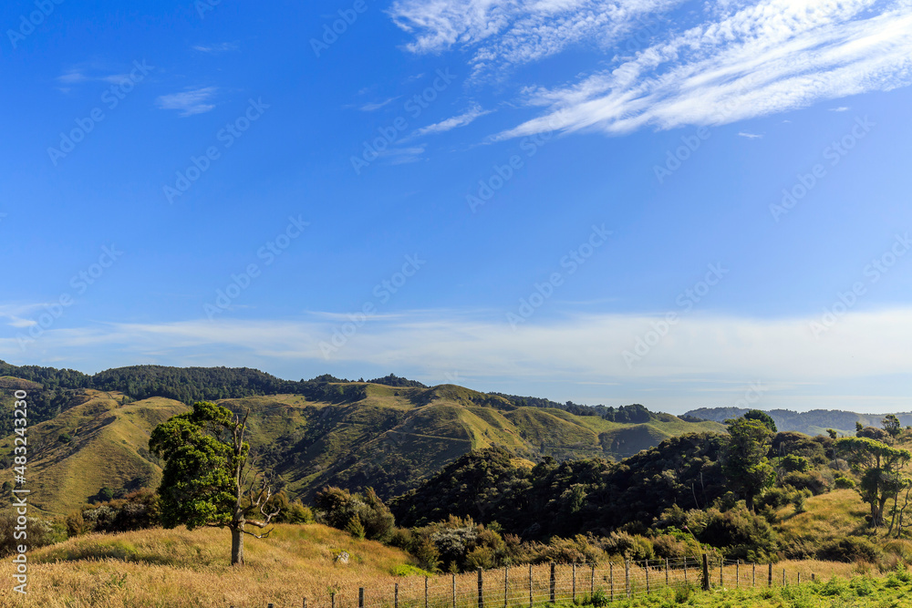 Nature green hills with blue sky in New Zealand