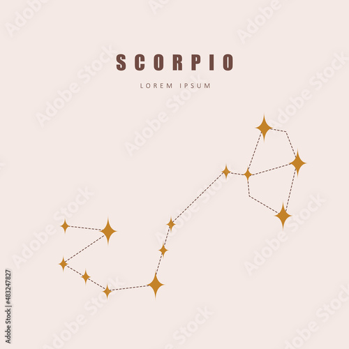 Scorpio zodiac constellation. Horoscope vector illustration in boho style. Mystery and esoteric. Spiritual tarot poster. Magic occult and astrology card.