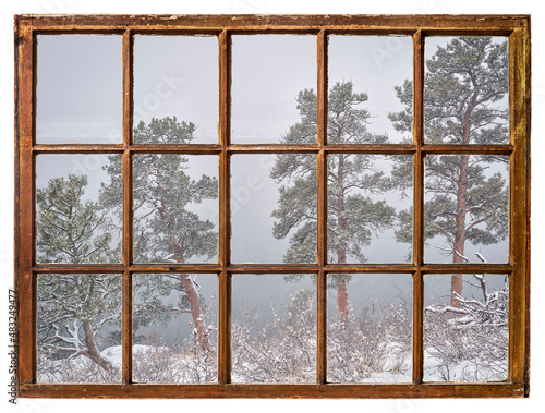 pine trees at a shore of lake in Colorado foothills in heavy winter snowstorm, vintage sash window view