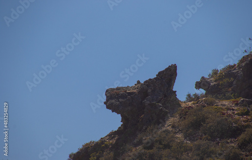 Rock on a cliff shaped like a dog's head photo