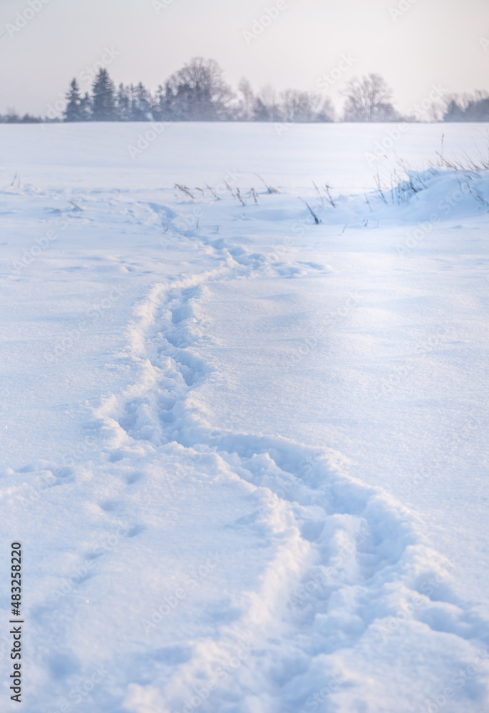 A beautiful winter day landscape of rural area. Snowy scenery of Northern Europe. A beautiful winter day landscape of rural area. Snowy scenery of Northern Europe.