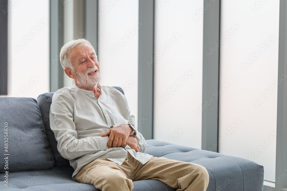 Portrait of happy senior man in living room, Smiling elderly caucasian old man