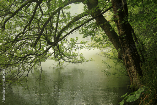 foggy day