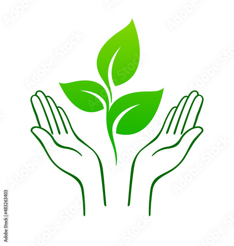 open hands nurturing green plant seedling