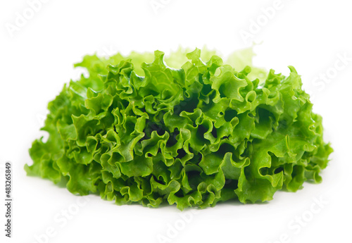 Freshness green leaf lettuce on white background