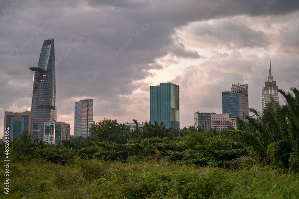 Picture of skyscrapers at sunset in the park with green grass and trees. View in metropolis with modern buildings. High quality photo