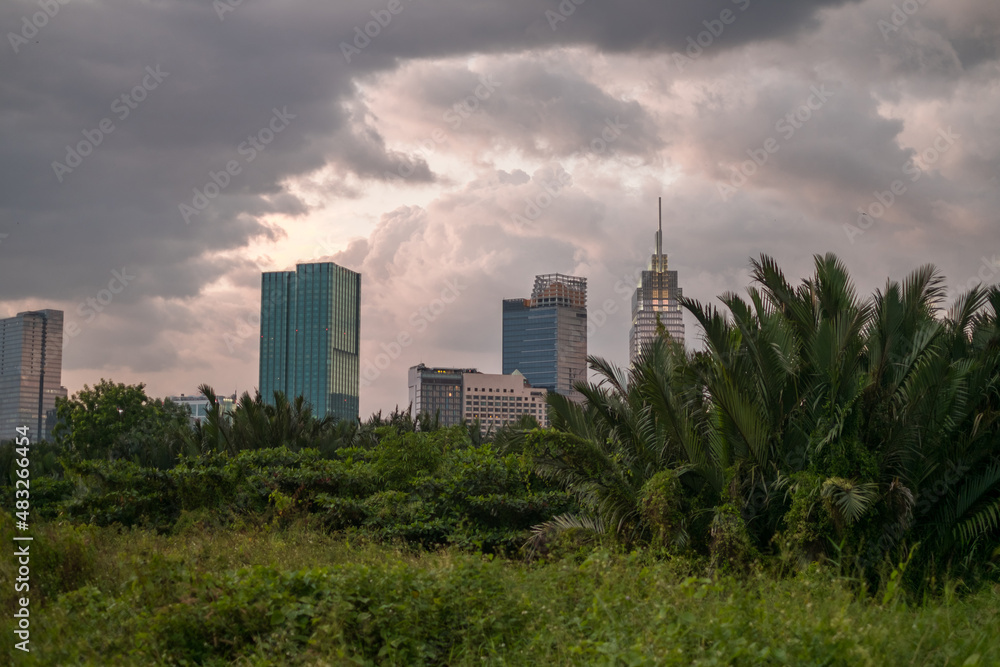 Picture of skyscrapers at sunset in the park with green grass and trees. View in metropolis with modern buildings. High quality photo