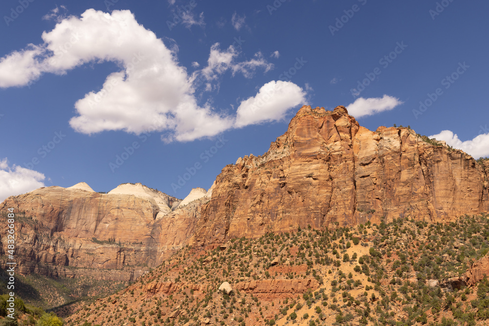Fototapeta premium Zion National Park lies on the border of Arizona and Utah with a mix of high mountains of rock with green trees growing from the stone is scenic