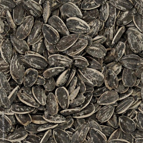 Textur Sonnenblumenkerne -  Sonnenblumen Muster Hintergrund