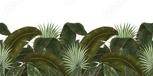 Fototapeta Naklejka Na Ścianę i Meble -  Exotic tropical pattern, seamless border. Tropical leaves wallpaper. Green palm leaves, banana, jungle background. Hand drawn 3d illustration. Design for wallpapers, websites, blogs, products