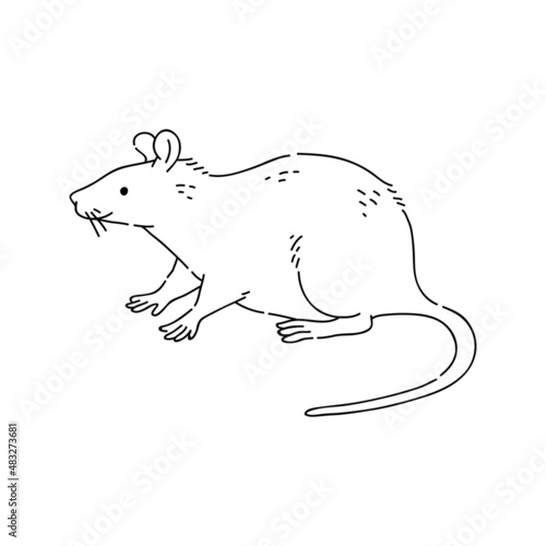 Rat vector doodle animal of Eastern astrological calendar black outline on white background.