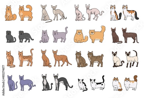 Popular cat breeds face and profile. Vector set contour sketch isolated illustration.