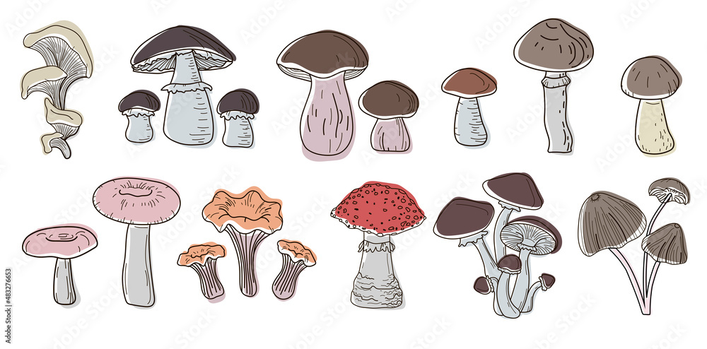 Set of mushrooms in the colors of boho- boletus, oyster mushrooms, porcini mushrooms, russula, toadstools, fly agaric, chanterelles, honey mushrooms, drawn in a doodle style. Vector Set of mushrooms in the colors of boho- boletus, oyster mushrooms, porcini mushrooms, russula, toadstools, fly agaric, chanterelles, honey mushrooms, drawn in a doodle style. Vector