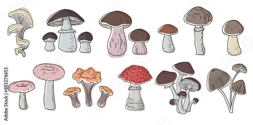 Set of mushrooms in the colors of boho- boletus, oyster mushrooms, porcini mushrooms, russula, toadstools, fly agaric, chanterelles, honey mushrooms, drawn in a doodle style. Vector