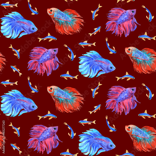 Fish print on burgundy background. Beautiful fighting fish and neons. Watercolor illustration