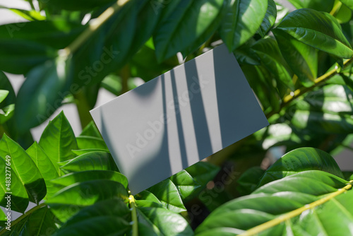 Business card mockup in green plant for design branding presentation