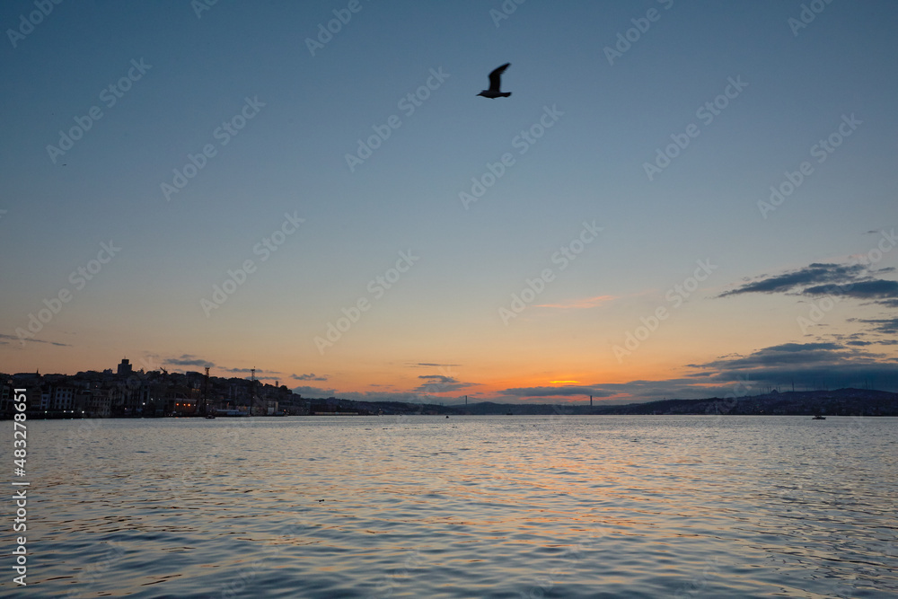 Seagull flying over the sea at dawn. Early morning, cityscape. Bosphorus before dawn, Istanbul