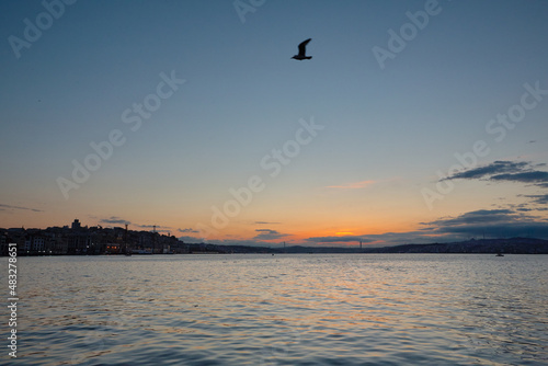 Seagull flying over the sea at dawn. Early morning, cityscape. Bosphorus before dawn, Istanbul © Dmitriy