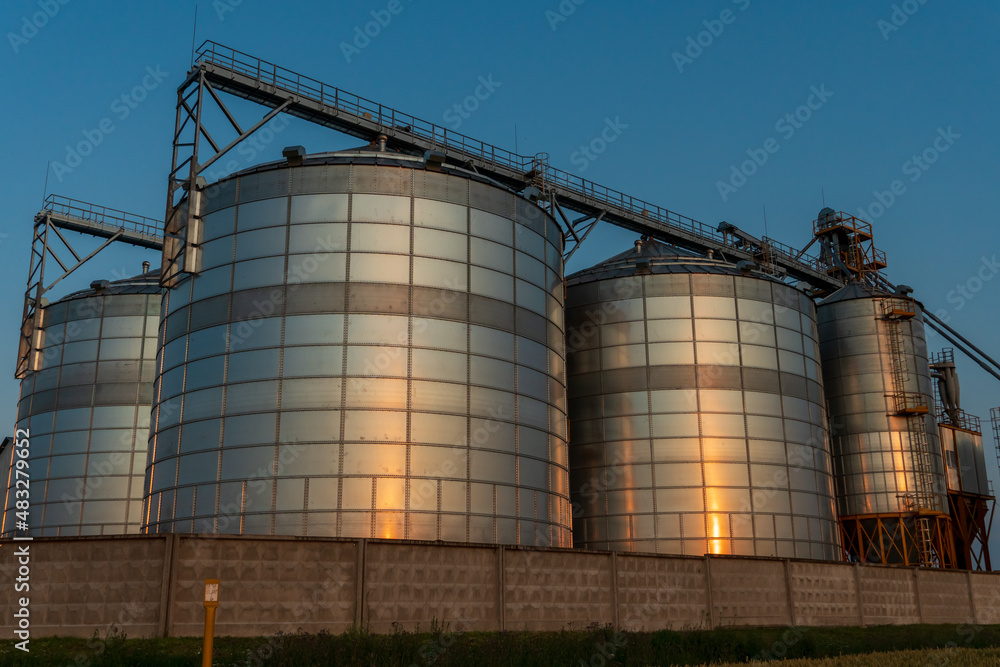 A large modern plant located near a wheat field for the storage and processing of grain crops. view of the granary illuminated by the light of the setting sun against the blue sky. harvest season.