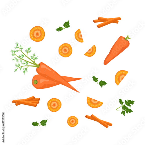 Set of carrot icon. Healthy food, orange whole vegetable, cut into circles, slices, parts and sticks and parsley leaves. Source of vitamins A. Vector flat illustration