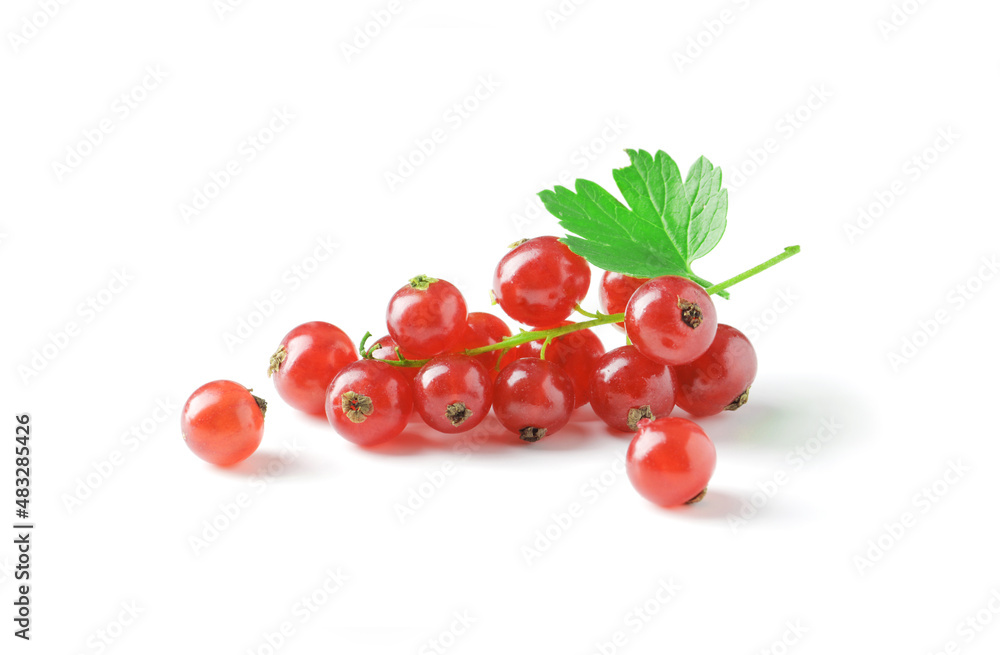 Berries of ripe tasty red currant isolated on white background. red currant with a leaf. a slide of red currants. Red currant berries with leaf isolated on white background. Berries of ripe tasty red currant isolated on white background. red currant with a leaf. a slide of red currants. Red currant berries with leaf isolated on white background.