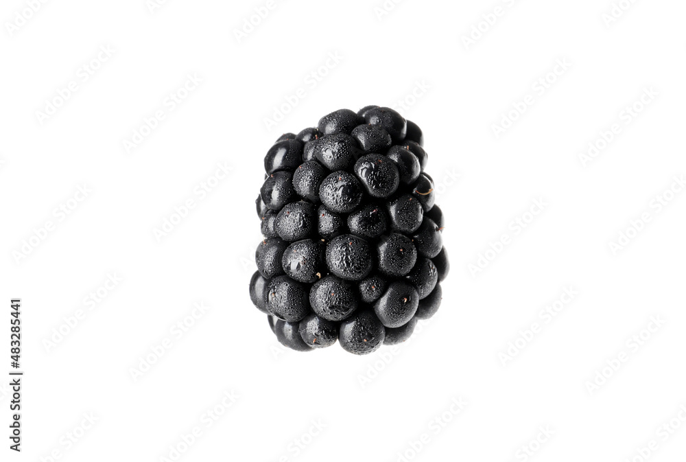 fresh tasty blackberry isolated on white background fresh tasty blackberry isolated on white background