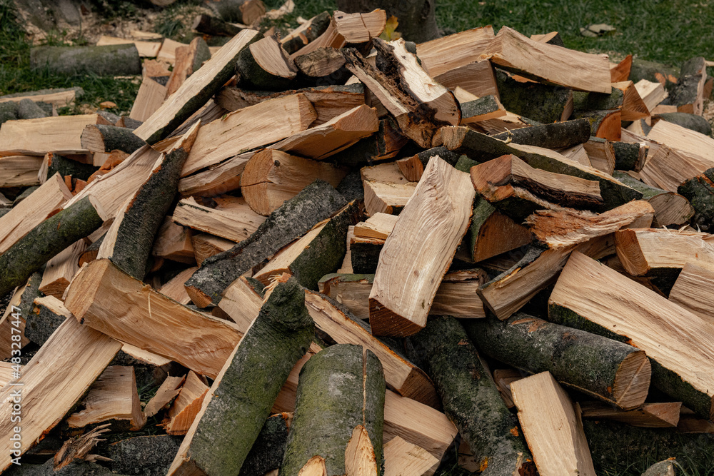 Bunch of Hacked Firewood Laying Outside Bunch of Hacked Firewood Laying Outside