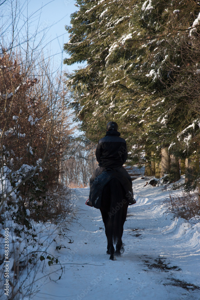 Naklejka premium Rückenansicht, Reiter reitet mit seinem Pferd durch den Schnee im Wald bergauf ins Sonnenlicht