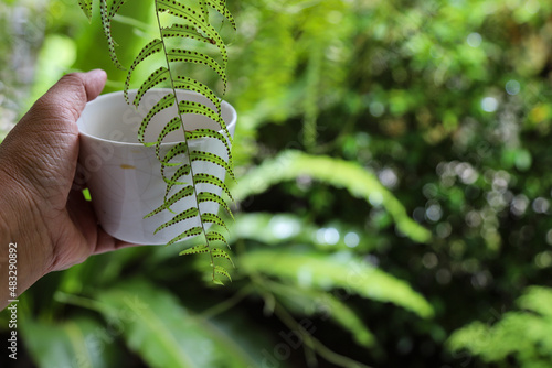 Obraz na plátně Close-up Of Hand Holding Coffee Cup In Fern Garden