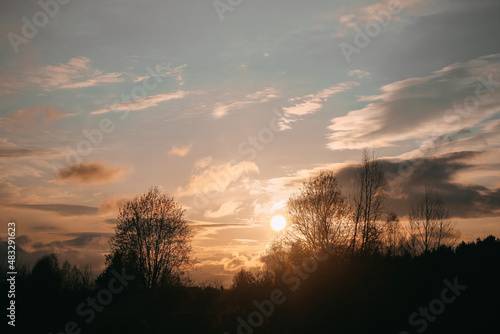 Sunset in the forest with clouds in the sky against the background of trees without leaves