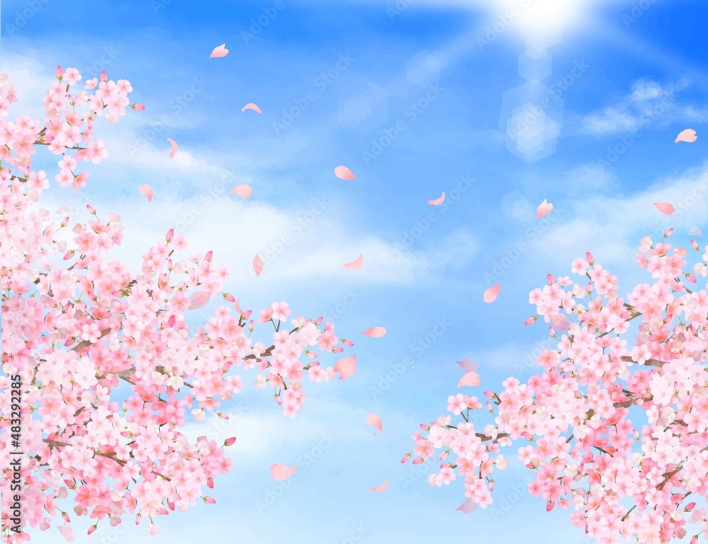 美しく華やかな桜の花と花びら舞い散る春の爽やか青空に光差し込む雲のフレーム背景ベクター素材イラスト 美しく華やかな桜の花と花びら舞い散る春の爽やか青空に光差し込む雲のフレーム背景ベクター素材イラスト