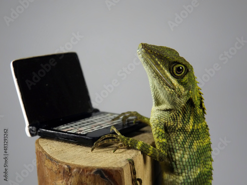 Canvas Print Close-up Of A Lizard And Notebook