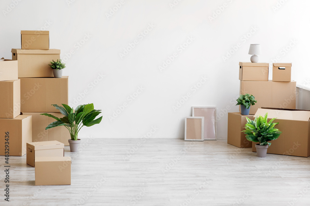 Stack of different cardboard boxes with things and green plants in pots on floor on gray wall background Stack of different cardboard boxes with things and green plants in pots on floor on gray wall background