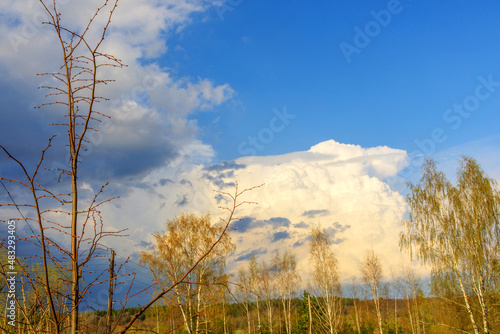 Blue sky with curly clouds and sun, sunset with sun rays.