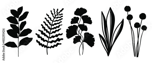 Set of  leaves silhouette of beautiful plants, leaves, plant design. Vector illustration 14 .