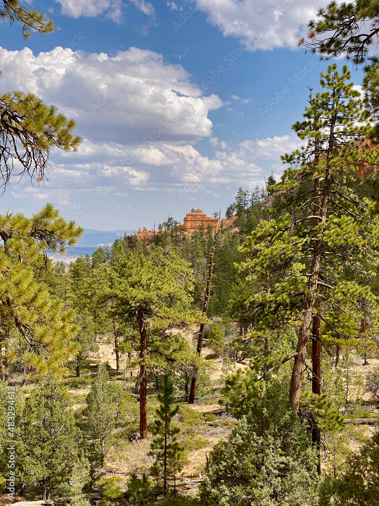 The deep orange of the sandstone Hoodoos against the deep green of the trees in Bryce Canyon National Park adds to the natural beauty of the vistas