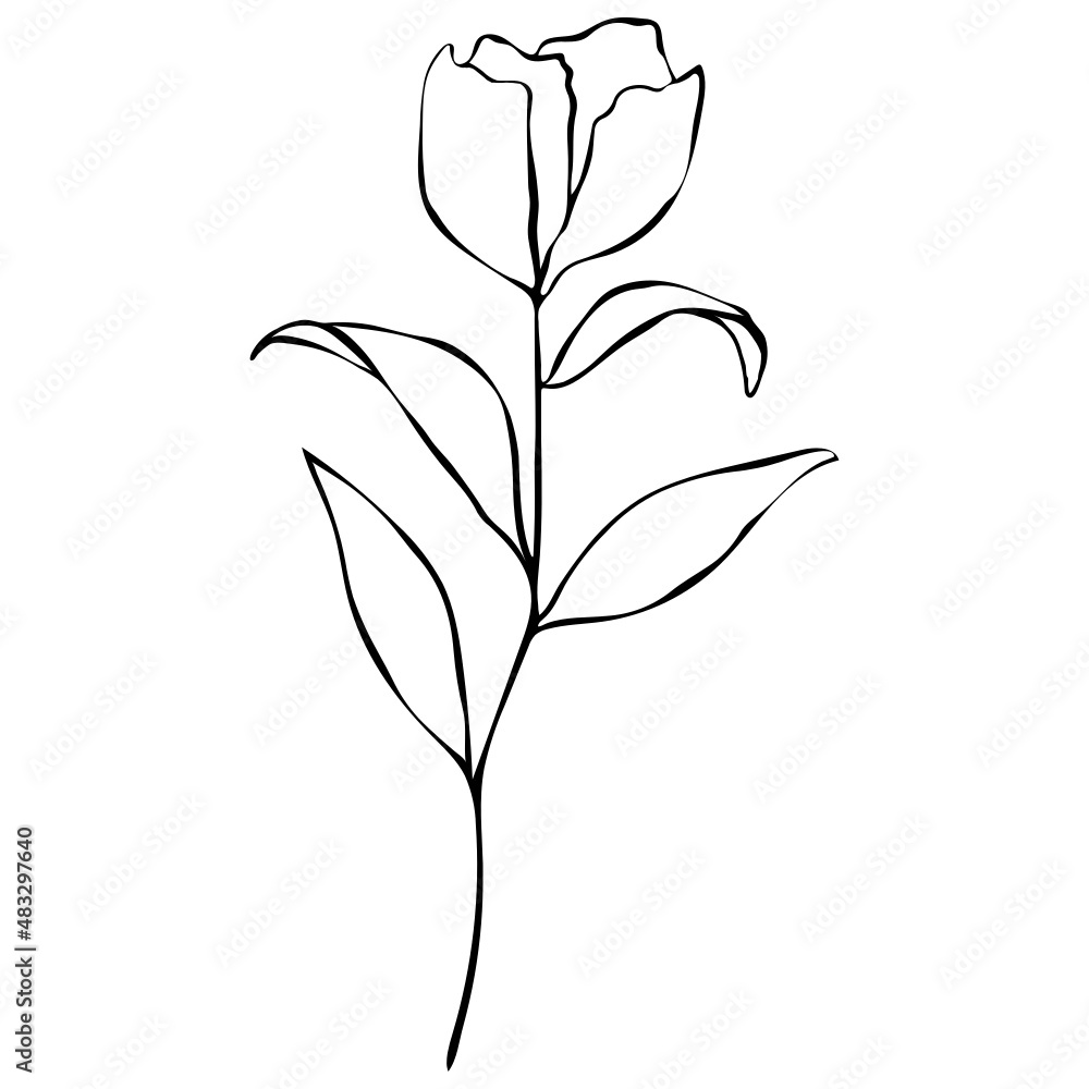 Flower vector illustration in line stroke design Flower vector illustration in line stroke design