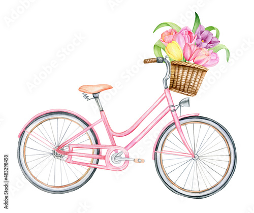 Watercolor hand drawn pink bycicle, spring floral clipart, isolated illustration on white background. 