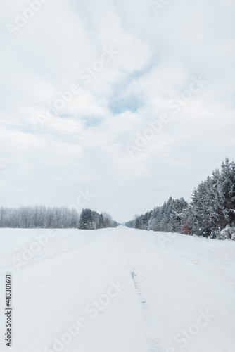 Fototapeta Naklejka Na Ścianę i Meble -  Winter landscape with forest and fields