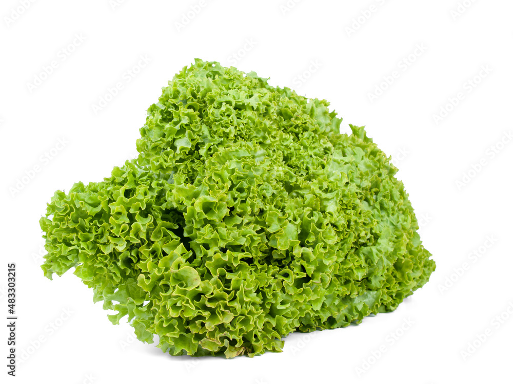 lettuce on white background lettuce on white background