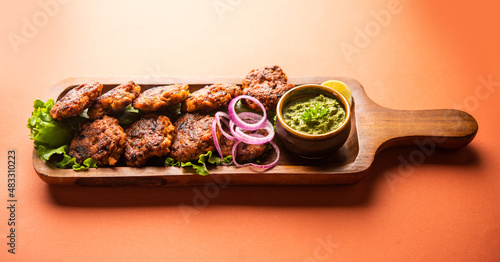 Photography galouti kebab or Tunde ke kabab