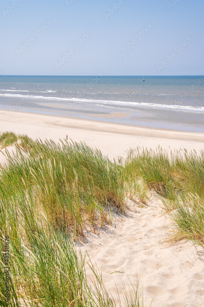 Der lange Sandstrand und die Dünenlandschaft auf Texel, Niederlande Der lange Sandstrand und die Dünenlandschaft auf Texel, Niederlande
