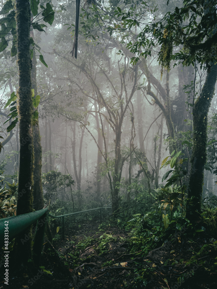 Fotos de flora y fauna de panama Stock Photo | Adobe Stock