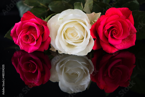 Three beautiful roses 