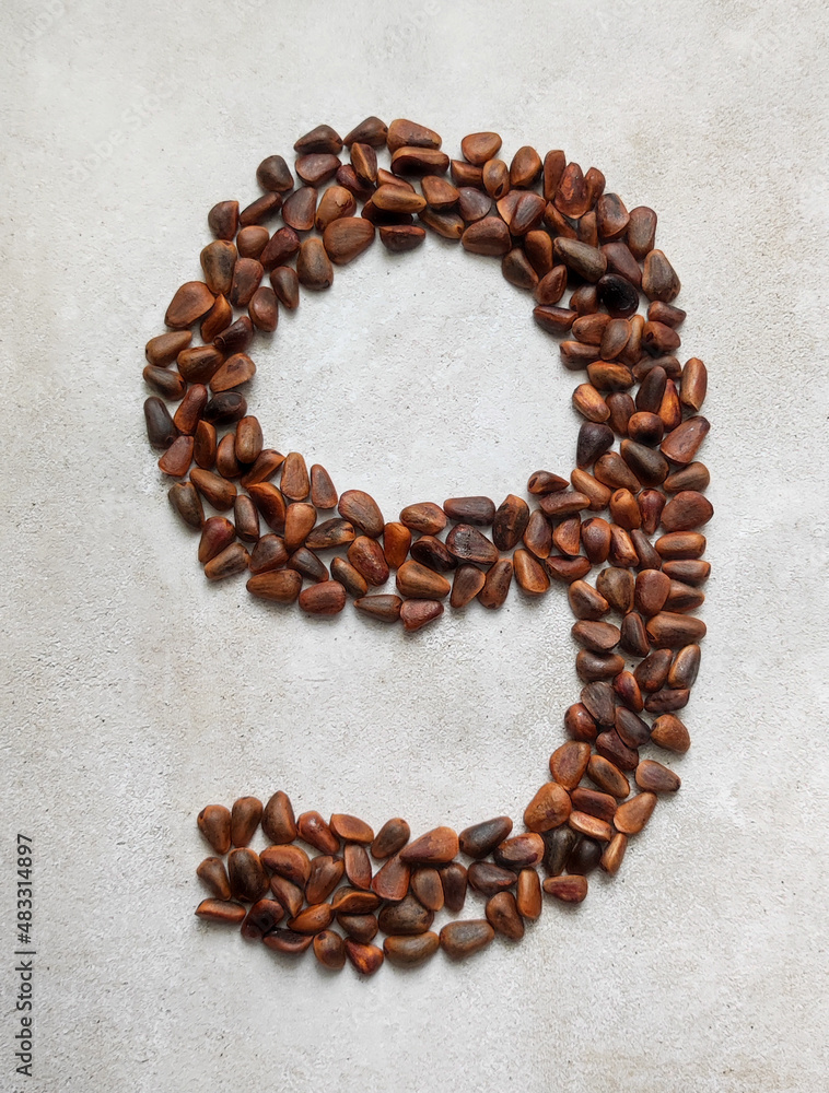 number nine consists of large brown pine nuts on a background of gray marble created from natural materials number nine consists of large brown pine nuts on a background of gray marble created from natural materials