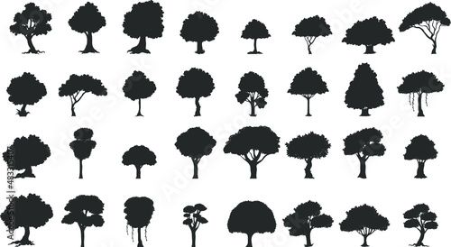 Set of silhouettes tree. Evergreen forest firs and spruces black shapes, wild nature trees templates. Vector illustration woodland trees set on white background