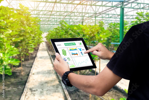 Smart farming argriculture concept.Man hands holding tablet on blurred organic farm as background photo