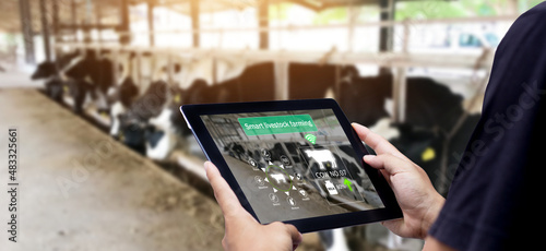 Smart Agritech livestock farming.Farmer Hands using digital tablet with blurred cow as background photo