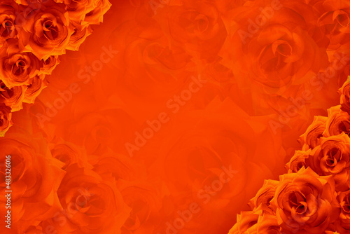beautiful orange roses flower on top left and bottom right corners on blur orange roses flower background  template  banner  name card  copy space